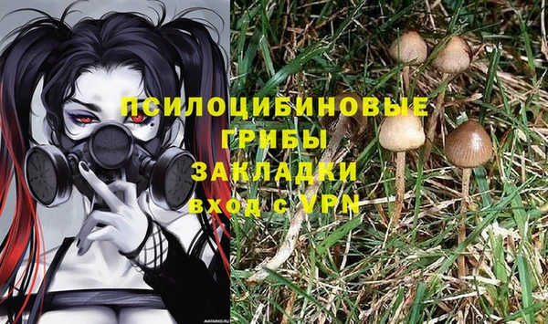 a pvp Алзамай