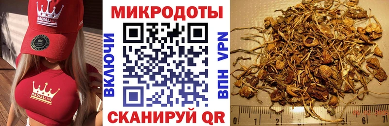 ссылка на мегу ССЫЛКА  Саянск  Галлюциногенные грибы Psilocybine cubensis 