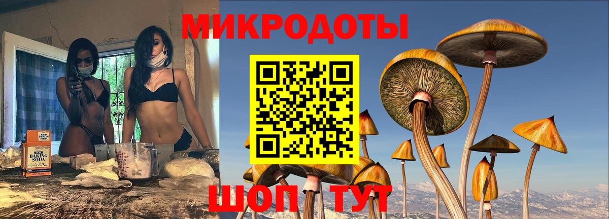 Галлюциногенные грибы прущие грибы Саянск