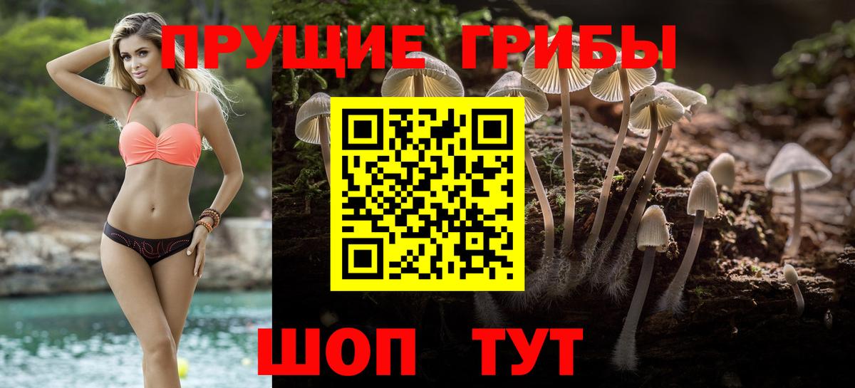Псилоцибиновые грибы Psilocybine cubensis  Псилоцибиновые грибы Magic Shrooms  Вход с VPN  Саянск 